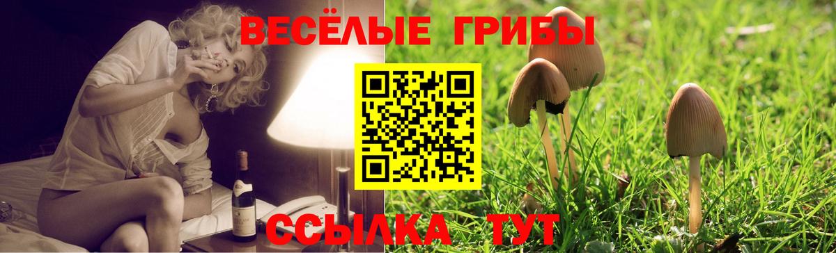 Кашира  Галлюциногенные грибы Psilocybine cubensis  Псилоцибиновые грибы мицелий  Вход с VPN 